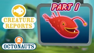 Octonauts  Creature Reports Part 1  Cartoons for Kids  Underwater Sea Education [upl. by Haidej]