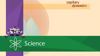 Capillary Dynamics [upl. by Hsekar137]