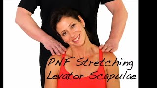 PNF Stretching  Levator Scapulae Muscle  Ask Dr Abelson [upl. by Anaicilef115]