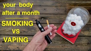 How Smoking vs Vaping Affects Your Lungs ● You Must See This [upl. by Eveineg]