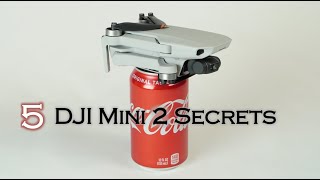 5 Tips to make the DJI Mini 2 even BETTER [upl. by Alissa635]