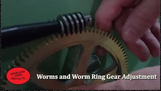 Worms and Worm Ring Gear Adjustment [upl. by Garrett]