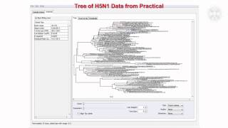 2 Phylogenetics amp Phylogeographylecturepart 2 [upl. by Chrissy]