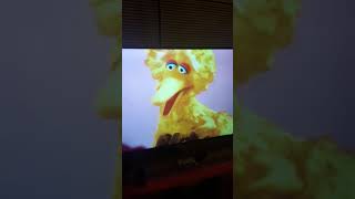 Big bird singing lullaby with elmo [upl. by Sandi]