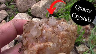 Digging Quartz Crystals  We Found The Source [upl. by Ellga]