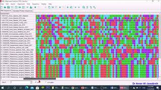 MEGA X How to construct a phylogenetic tree [upl. by Melise]