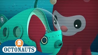 Octonauts  Squiddie Song  Songs of the Deep  Cartoons for Kids [upl. by Tray]