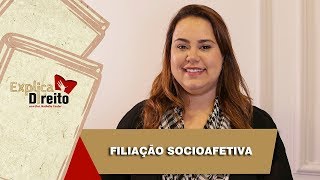 Explica Direito Filiação Socioafetiva  2019 [upl. by Ann-Marie]