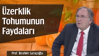 Üzerklik Tohumunun Faydaları  Prof İbrahim Saraçoğlu [upl. by Suollecram]