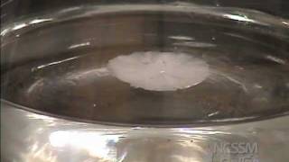 Sodium Acetate Crystals Supersaturated Solution [upl. by Aivekahs]