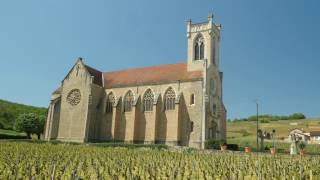 The Wines of Burgundy [upl. by Pampuch]