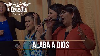 Alaba a Dios  Linaje del Altísimo  Menap HD [upl. by Marlena]