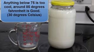 Kefir  DIY Homemade Without Grains [upl. by Politi795]