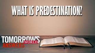 You are the CULPRIT  The Predestination Paradox  Explained in Hindi [upl. by Rolph]