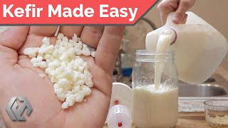 Homemade Kefir  Rebuild Your Gut Microbiome [upl. by Nalim]