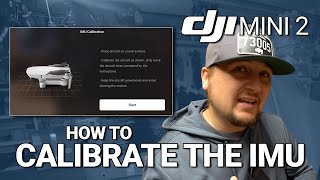 DJI Mini 2  How to CALIBRATE the IMU Tutorial [upl. by Emory]