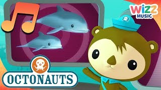 Adorable Dolphins  Songs for Kids  Octonauts  Wizz Music [upl. by Tad]