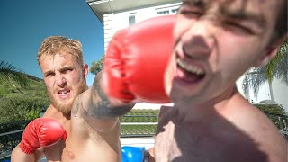 I Boxed Jake Paul over 90000 Couches painful  Episode 3 [upl. by Gio]