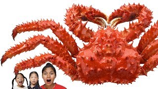 King crab 킹크랩 Mukbang TwinRoozi 쌍둥이루지 먹방 조안나 언니 [upl. by Cloutman]