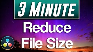 Davinci Resolve  How to Reduce File Size [upl. by Karole]