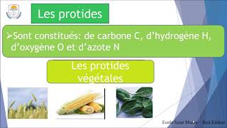 Biologie  EB9  Chapitre 1 La digestion 1 [upl. by Gilboa]