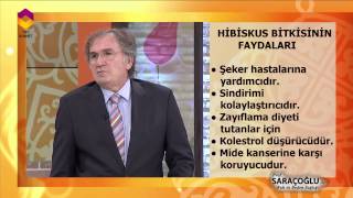 Tıbbi Bitkiler  Hibiskus Bitkisi  DİYANET TV [upl. by Aitat]