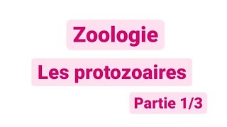 Zoologie L2  les protozoaires SNV [upl. by Eneroc]