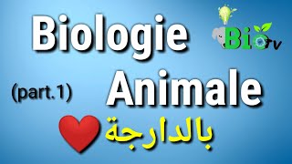 Biologie animale part 1  les protozoaires [upl. by Aisayt905]