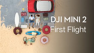 DJI Mini 2  How to FLY DJI Mini 2 [upl. by Trebliw718]