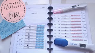 One Step Pregnancy Dipstick Test [upl. by Kelli]