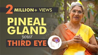 Take Care of your Pineal Gland by doing this  Dr Hansaji Yogendra [upl. by Nivert434]