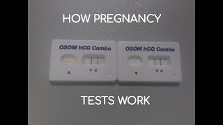 How to Monitor Sugar Level at Home  How To Use Glucometer  3rd Trimester Testing [upl. by Ahsieki]