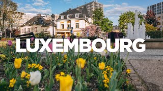 The ULTIMATE Travel Guide Luxembourg [upl. by Avi]