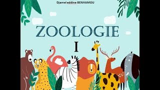 Cours zoologie  Partie 1 Protozoa [upl. by Gibeon]