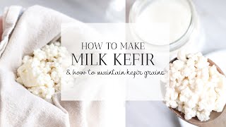 HOW TO MAKE MILK KEFIR  Tips for Maintaining Kefir Grains [upl. by Buford]