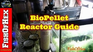 In Depth Guide To BioPellet Reactors  Subscriber Request [upl. by Merola579]