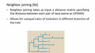 Phylogenetics  Distance Methods UPGMA NJ [upl. by Edmond]