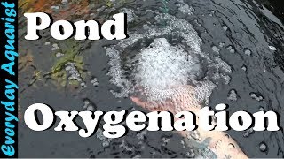 How To Aerate amp Oxygenate Your Pond [upl. by Lletniuq]