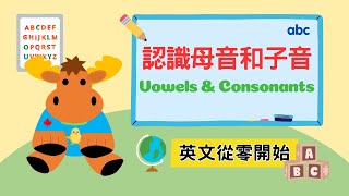 【英文從零開始】認識母音和子音｜Vowels amp Consonants｜Boro English [upl. by Ahsenrad]