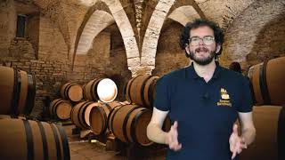 Virtual Tour of Beaune The Wine Capital of Burgundy Part 2 [upl. by Obed]