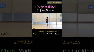 Volare Line DanceTutorial [upl. by Kylen]