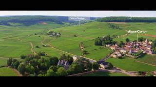 The vineyard of Bourgogne seen from the sky [upl. by Bottali]