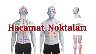 Hacamat Noktaları Nelerdir [upl. by Epoillac377]