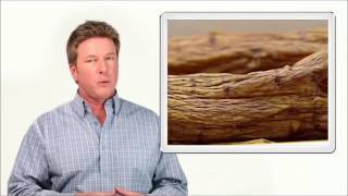 Korean Red Ginseng Benefits What Does Ginseng Do for Men [upl. by Jarin]