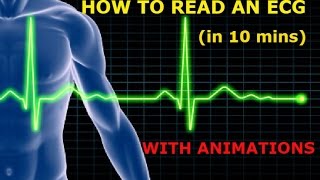 HOW TO READ AN ECG WITH ANIMATIONSin 10 mins [upl. by Truelove]