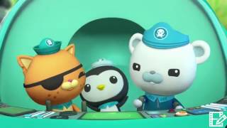 Octonauts Intro on Loop [upl. by Sidnal]