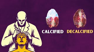 5 Ways to DECALCIFY Your PINEAL GLAND [upl. by Crawford]