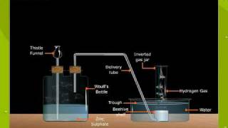 Laboratory Preparation Of Hydrogen [upl. by Broderic]