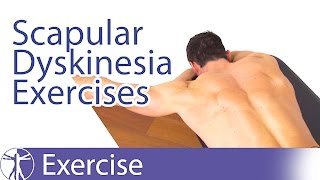 Best Scapular Dyskinesis  Dyskinesia Exercises [upl. by Refennej446]