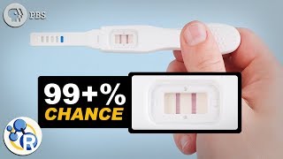 How Do Pregnancy Tests Work [upl. by Ellimak]